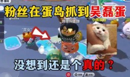 小和尚爆料苏神视频播放,小和尚爆料背后的精彩瞬间