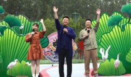 西安唐人街爆料视频最新,繁华再现，历史与现代交融盛景